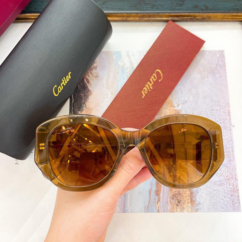 Oversized Acetate Sunglasses - women's accessory | LUXIUM MARKET